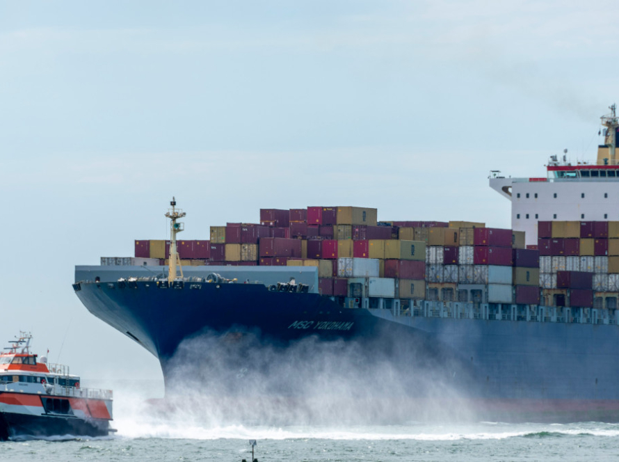 exportação de produtos moçambicanos